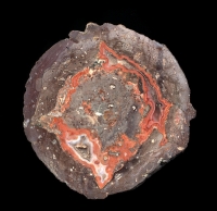 ora